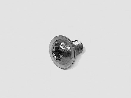 Винт с полукругл. гол., с буртом и вн. шестигр., оцинк. М6 х 10 ISO 7380-2, A570